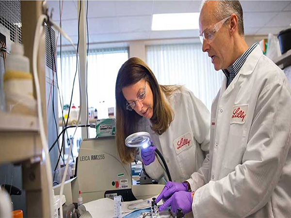 This simple diet could help protect memory, even with Alzheimer's genes: Study