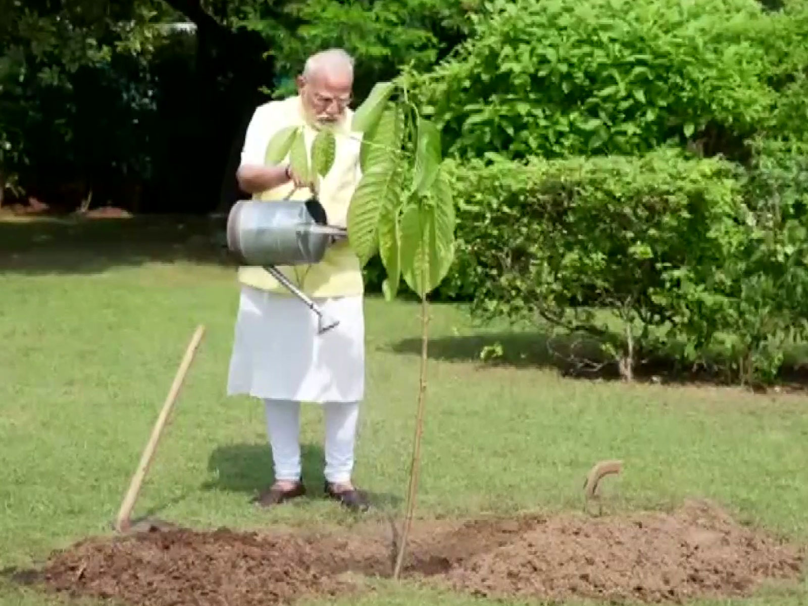 PM Modi plants Kadamb sapling gifted by King Charles on his birthday