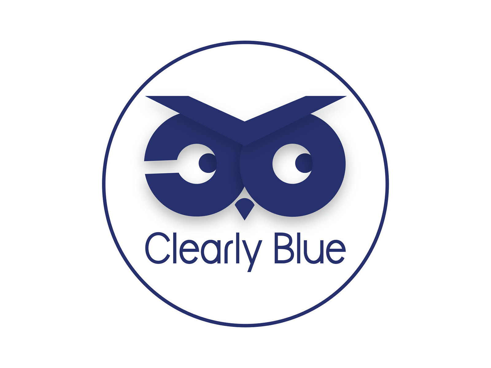 The Clear Owl: A New AI-Powered Hybrid Platform for Content Marketing