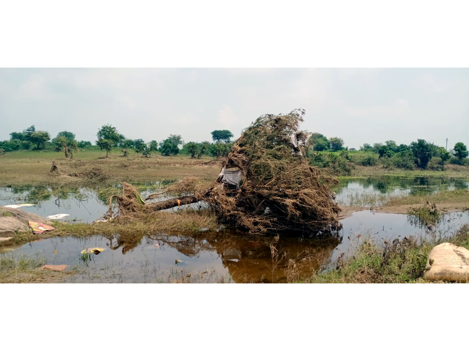 Heavy rains batter Maharashtra, NDRF rescues over 300 people in Marathwada districts