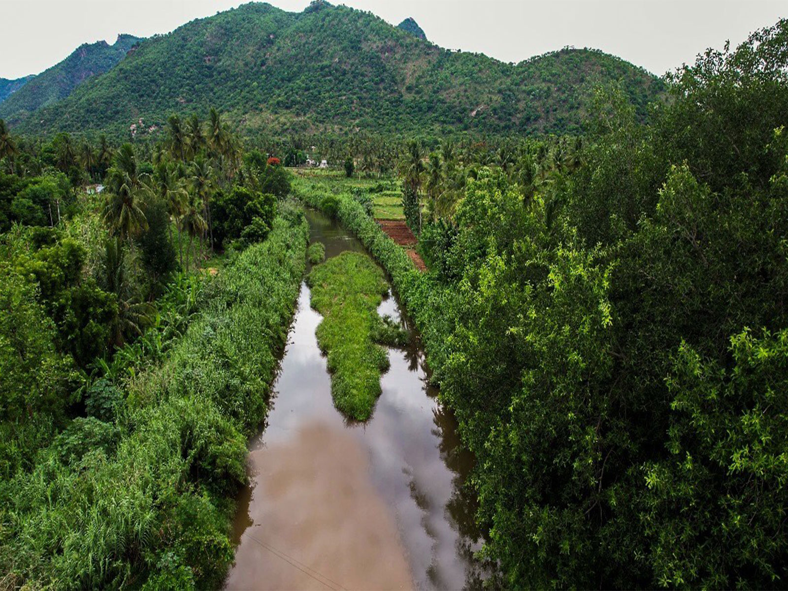 Innovative and scalable, The Art of Living’s solutions are reviving rivers across the nation